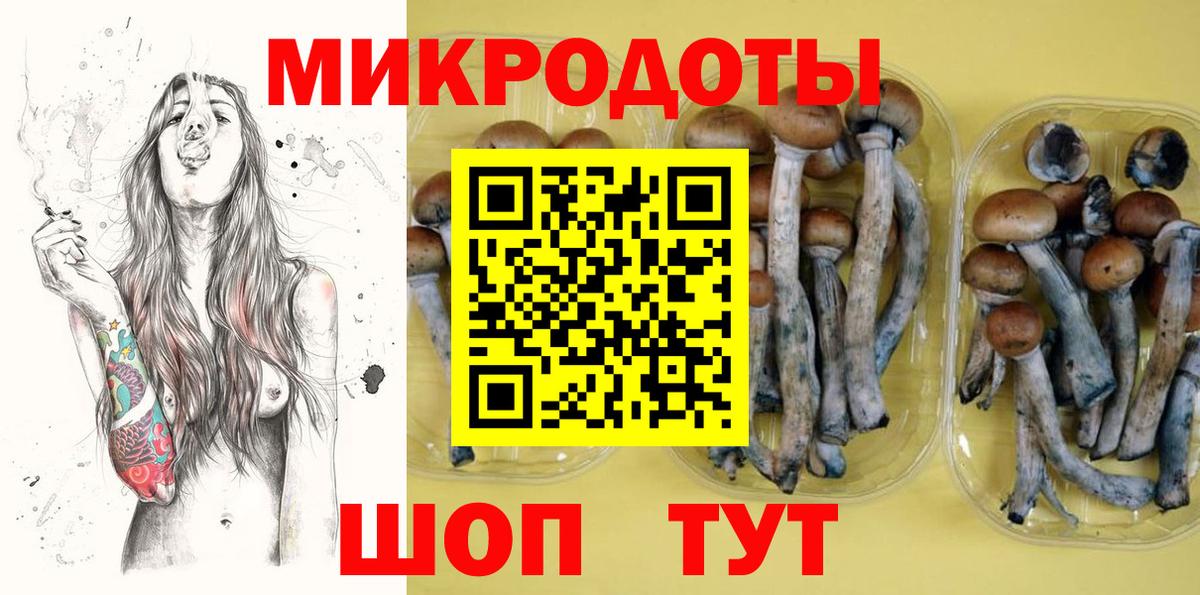 Галлюциногенные грибы GOLDEN TEACHER  Вход с VPN  Саянск 