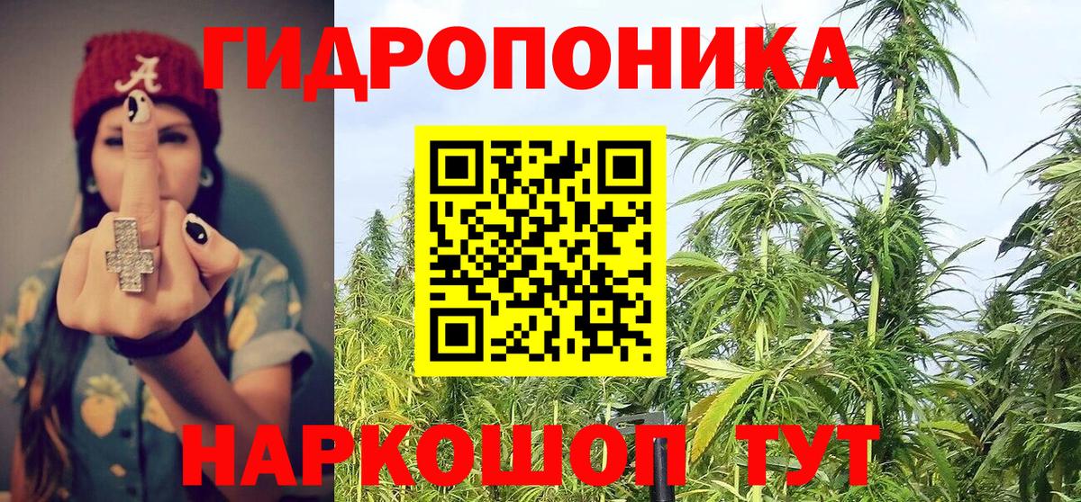 Бошки марихуана SATIVA & INDICA  Канабис OG Kush  Вход с VPN  Саянск 