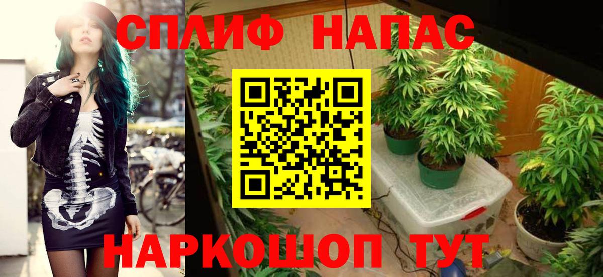 Бошки марихуана конопля Саянск